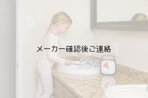 画像8: タイムタイマープラス 60分計 (8)