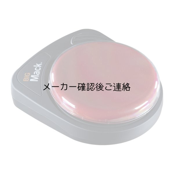 画像1: ビッグマック (1)