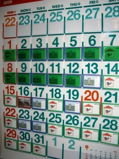 画像2: ビニールポケットカレンダー（2024年度版）