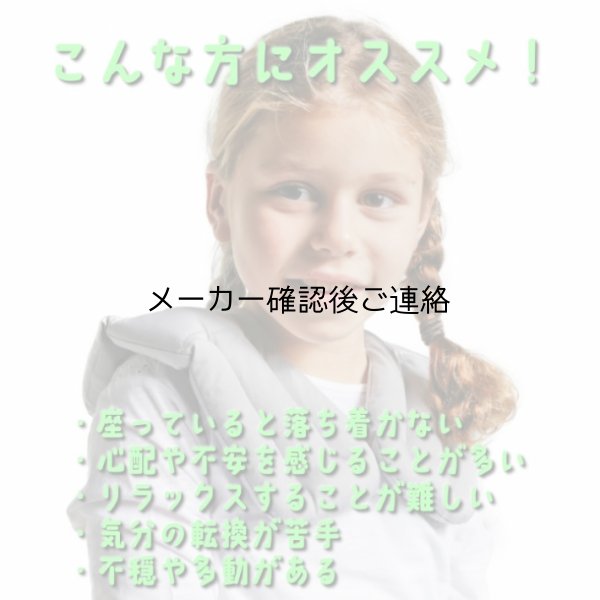 画像2: ハグパッド2.0kg  (2)